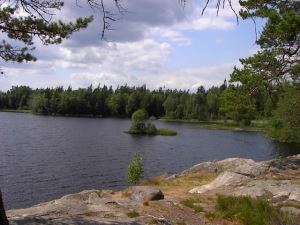 Utsikt över sjön Torsjö / Nybro kommun ( Småland )